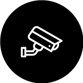 seguridad-electronica